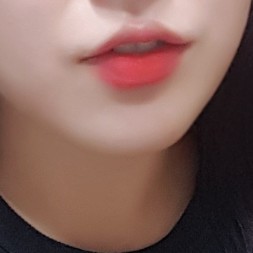 또니또니똔또니 프로필