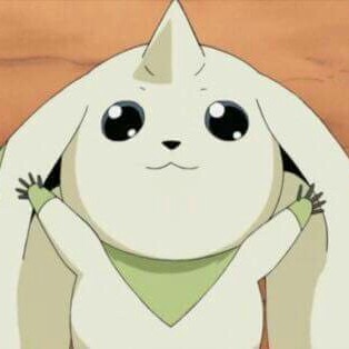 ㅊㄹㅇ 프로필