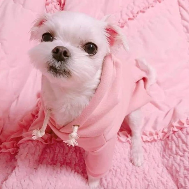 서혜빈 프로필