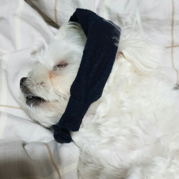 강다녜루 프로필