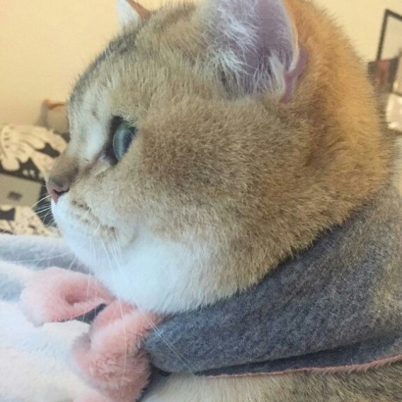 리뷰어 프로필