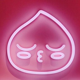 saylee 프로필