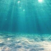 forever_ 프로필