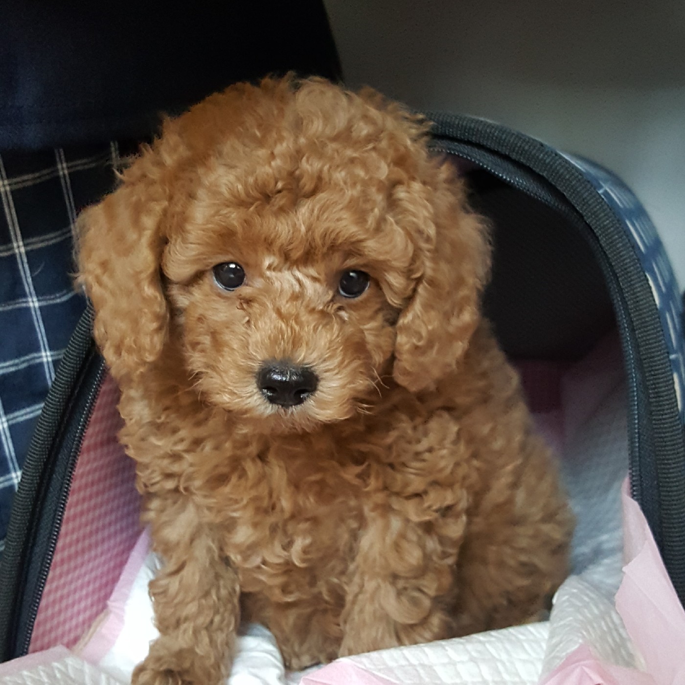 jyw0902 프로필