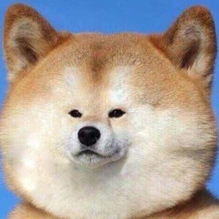 환ㅇ 프로필