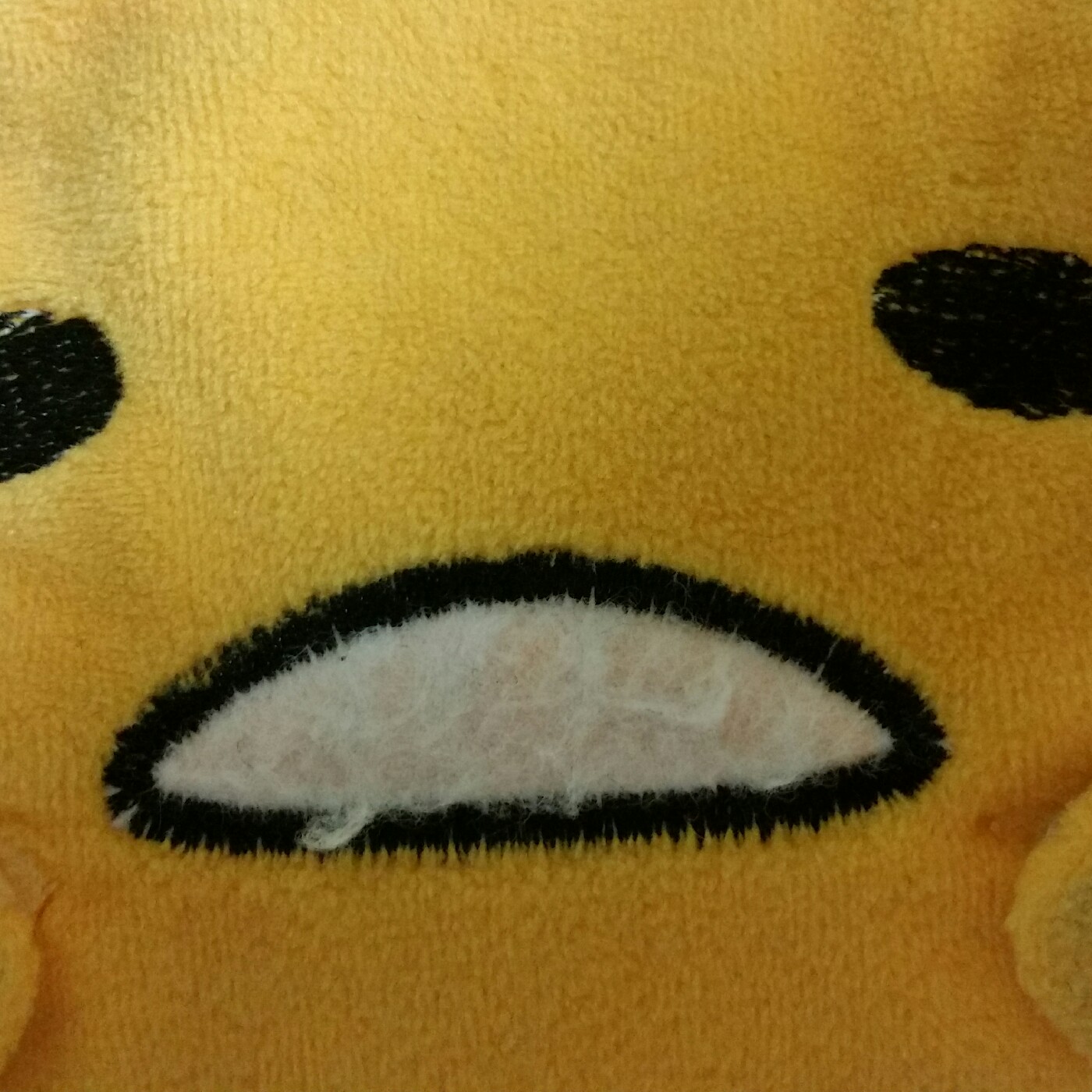 진돌쓰 프로필
