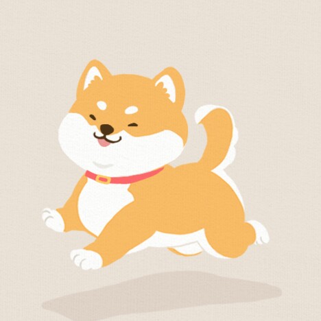 선mi 프로필