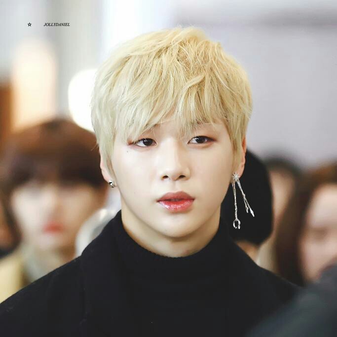 워너원꽃길만걷자 프로필