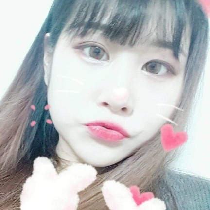 박비글93 프로필