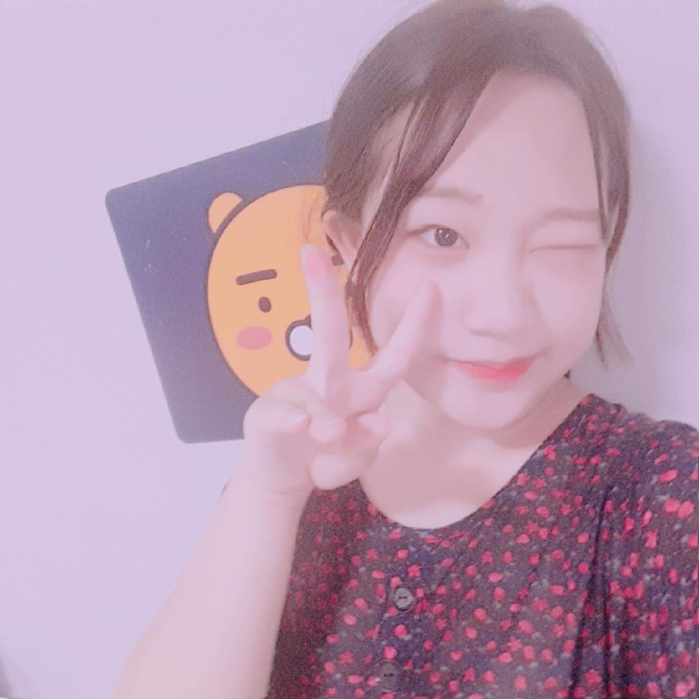 이수진ㅇㅋ 프로필