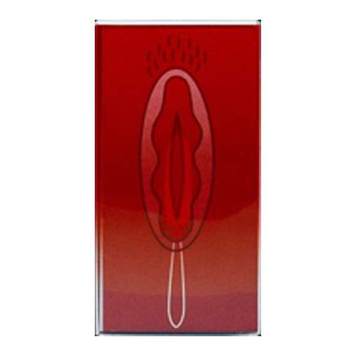 탐폰 레귤러