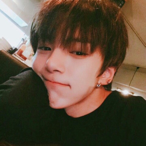 honeybee16 프로필