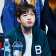 메르로르디