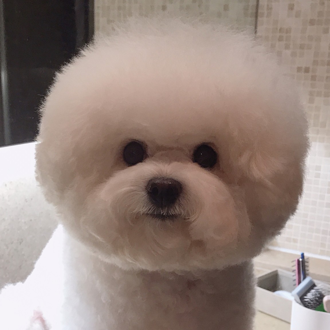 엄지_검지 프로필