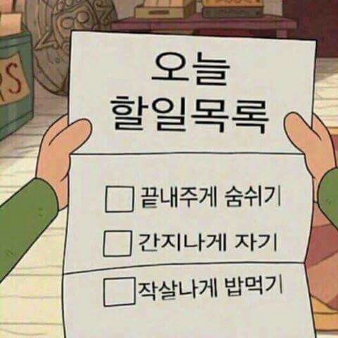 박비빔 프로필