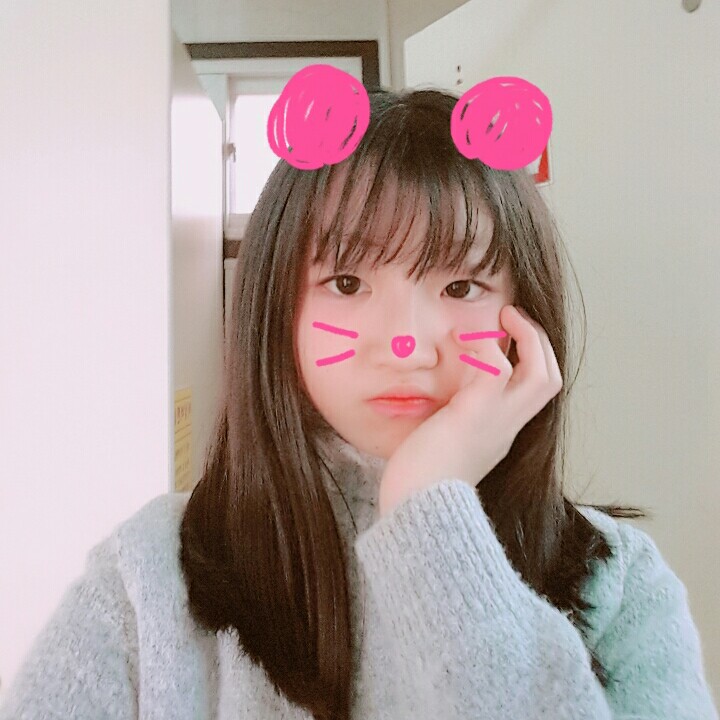 하쵸케미 프로필