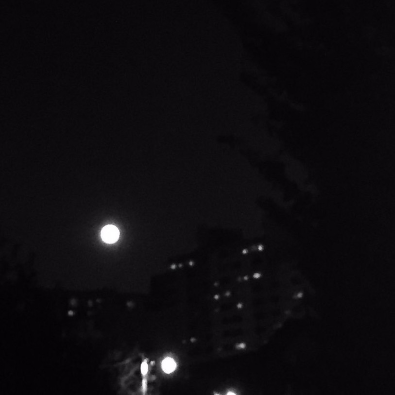 리뷰어 프로필