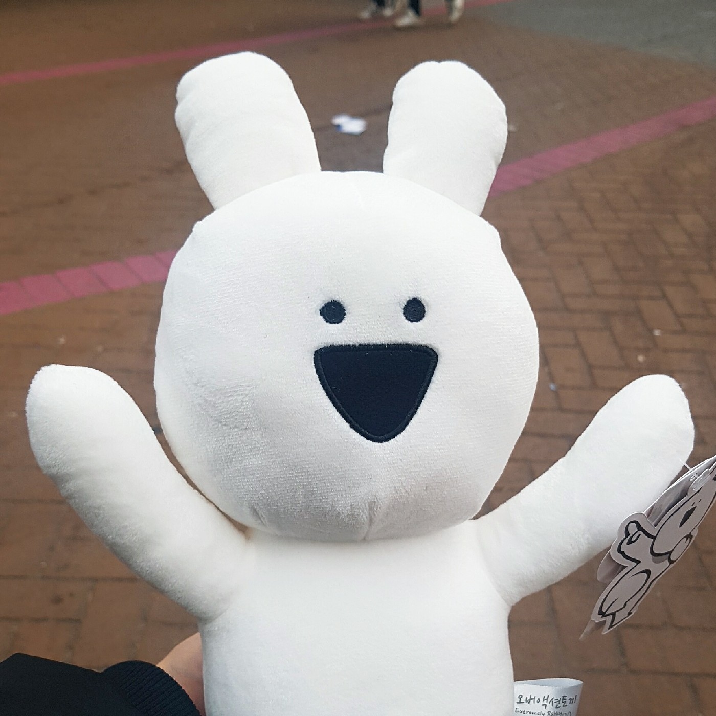 솜솜뭉치 프로필