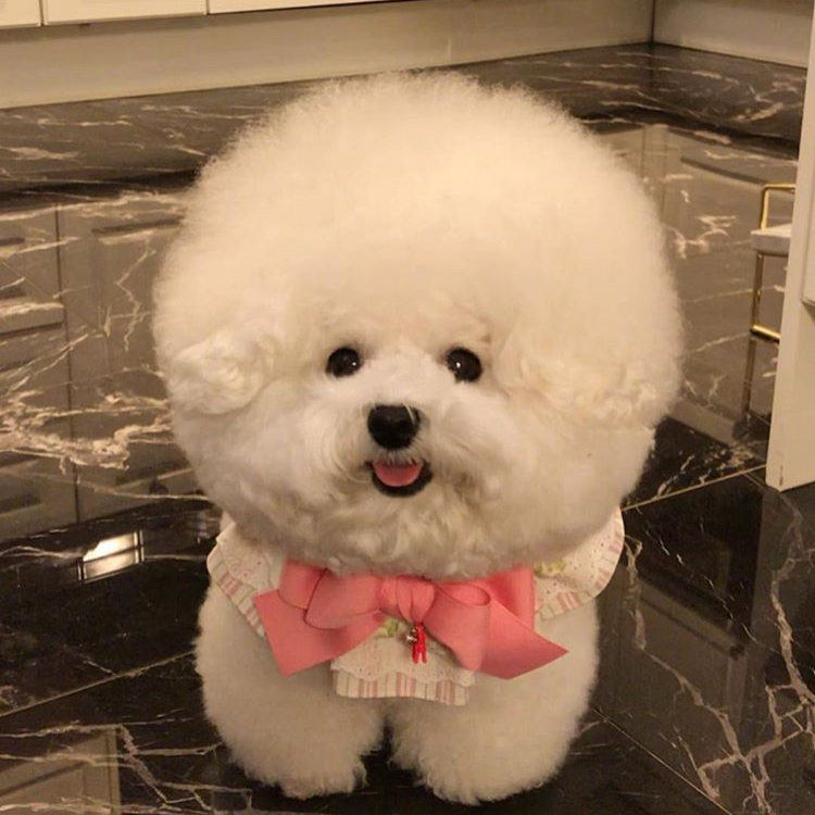 피자먹쟈 프로필