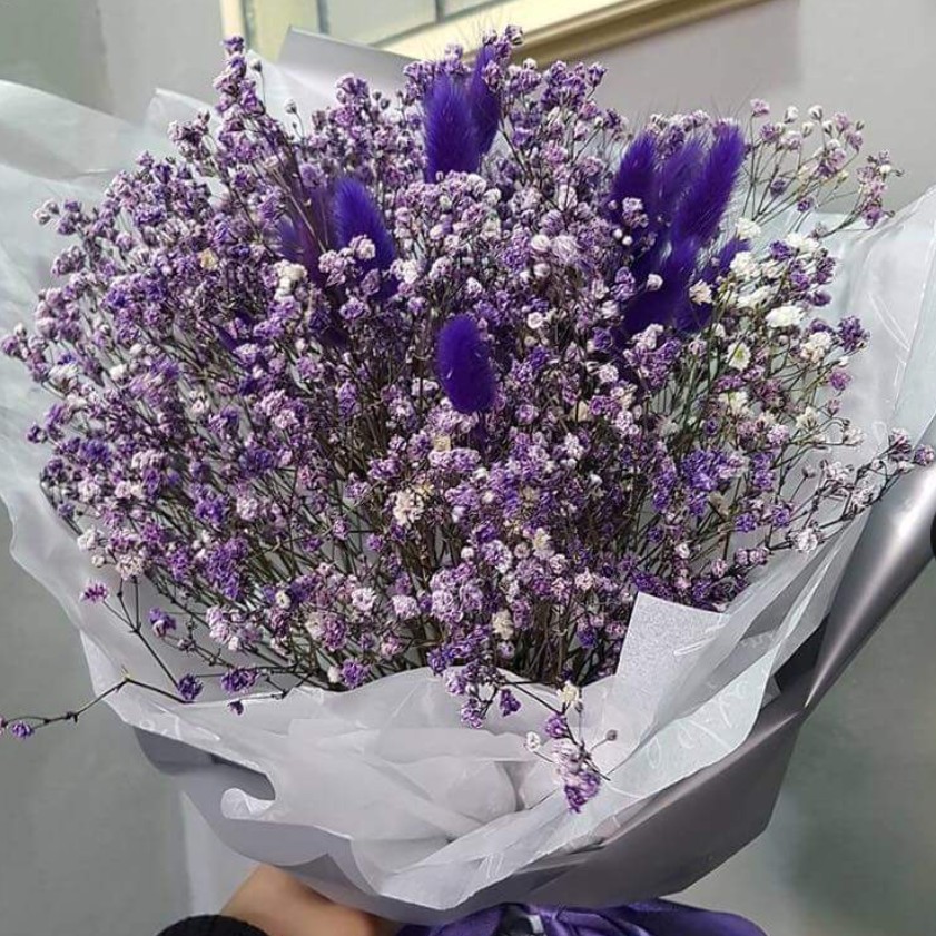 :수연: 프로필