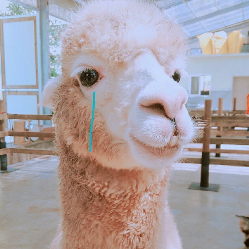 리뷰어 프로필