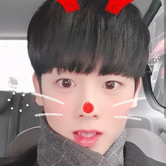복합성뇨자 프로필