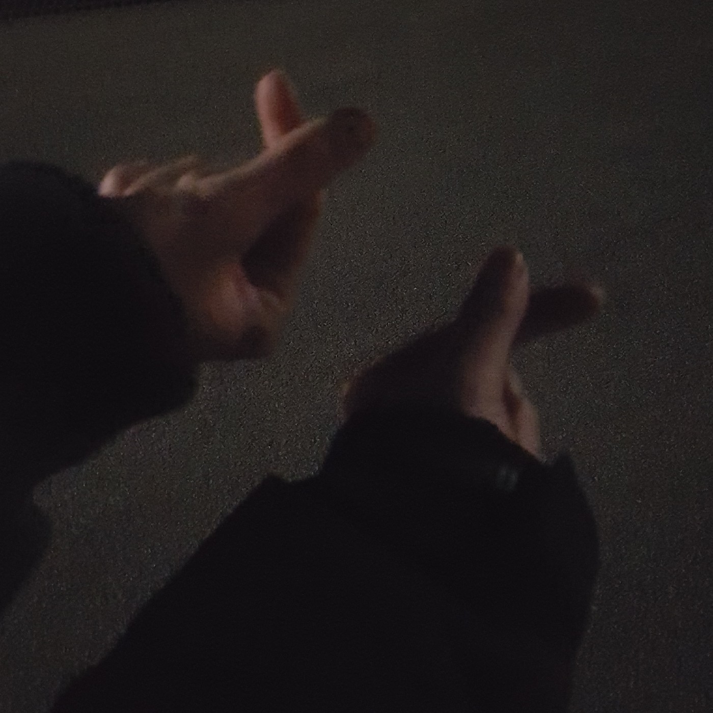 이시발 프로필