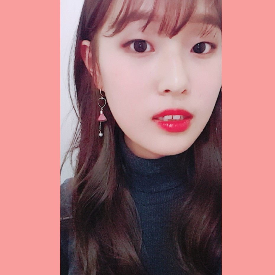 강김송이 프로필