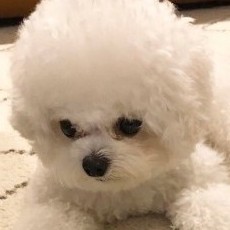 shelly18 프로필