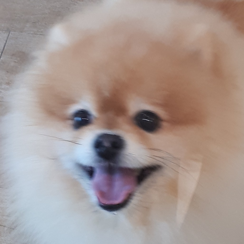 비누나비 프로필