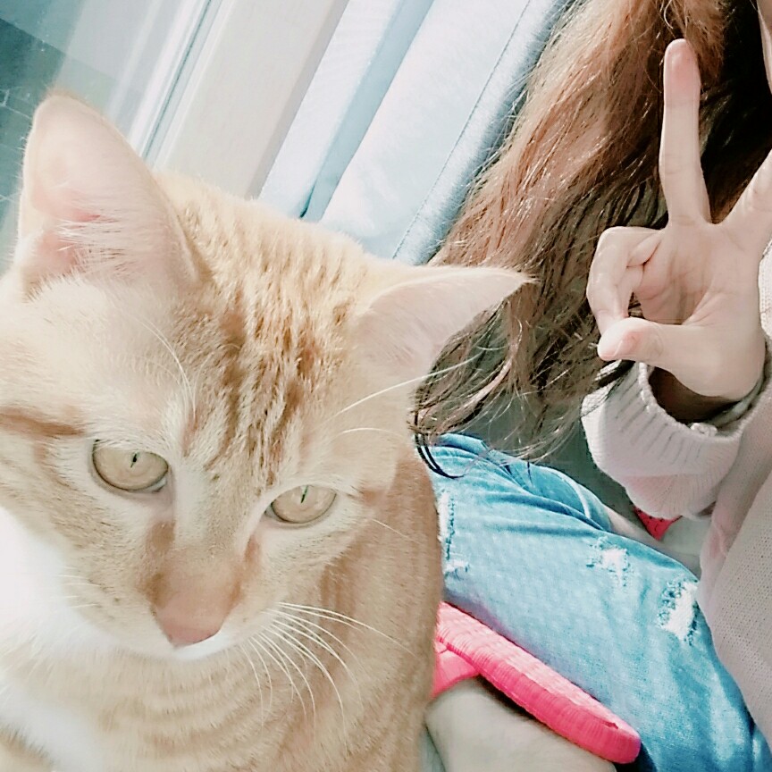 벨렌 프로필