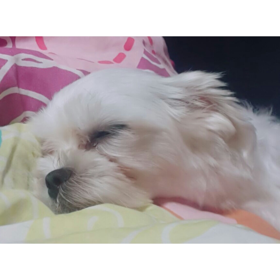 esy9813 프로필