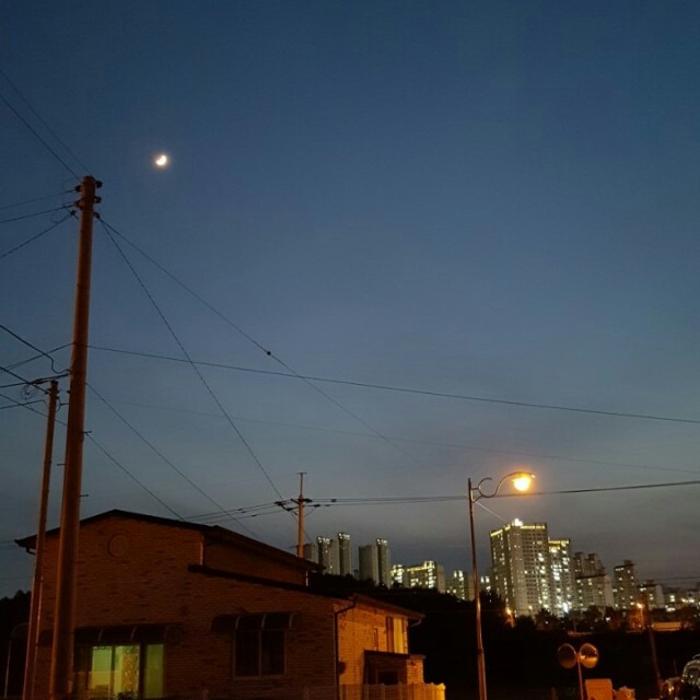 yjyj0000 프로필