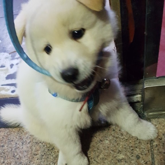 보물썸 프로필