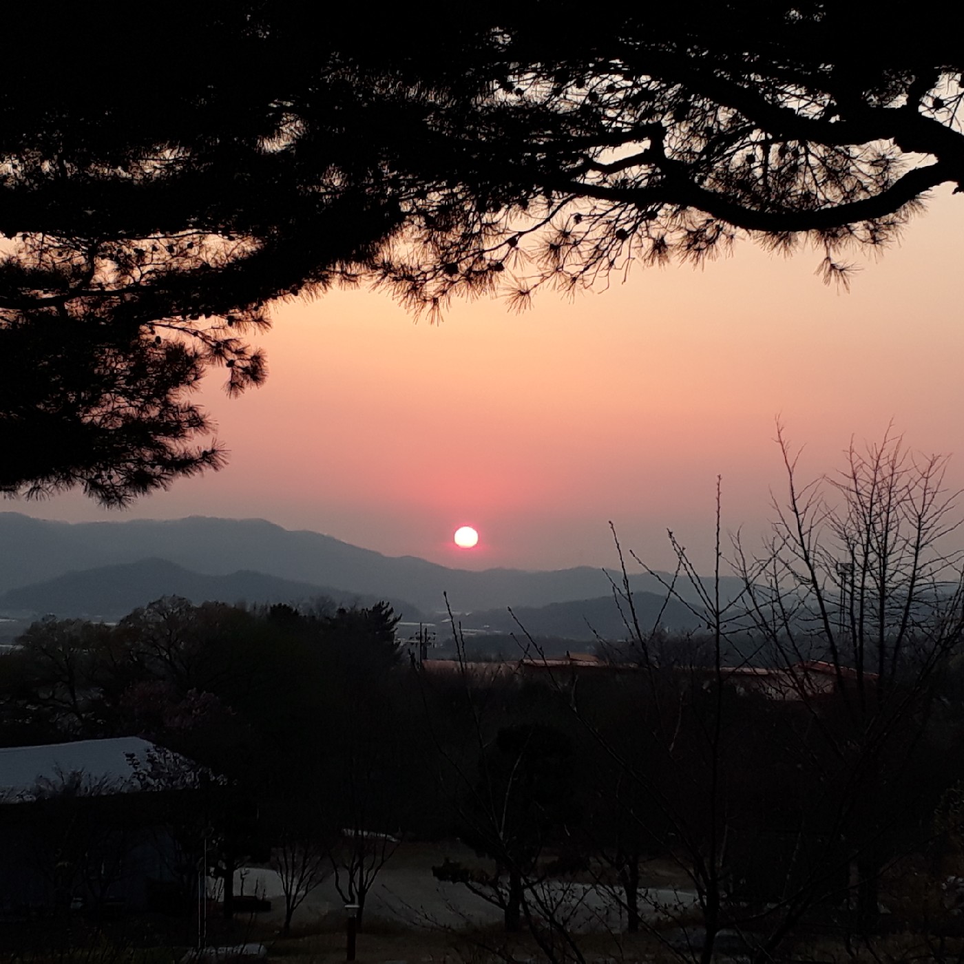 냐뉴냐냐 프로필