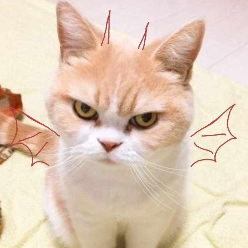 V잔나V 프로필