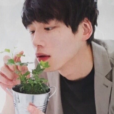 율루율루차 프로필