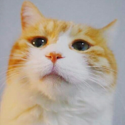 따솜 프로필