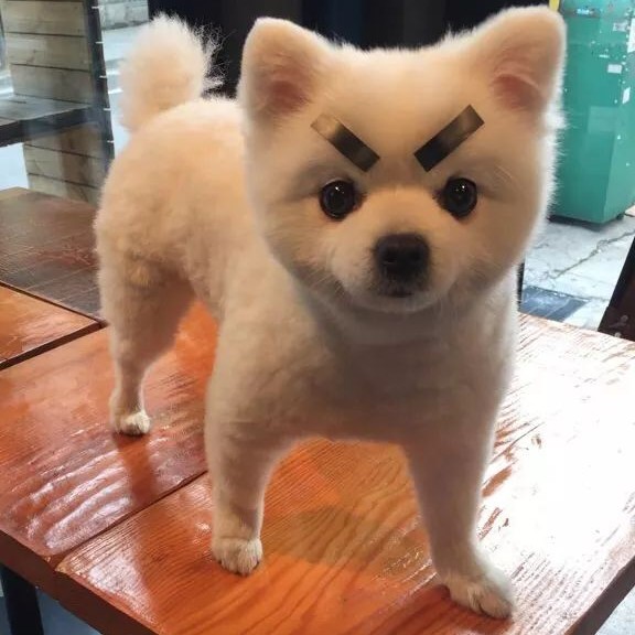 리뷰어 프로필