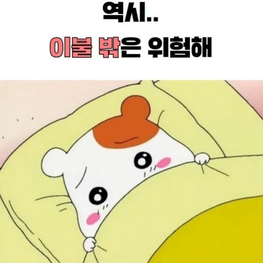 조심하겠습니다 프로필