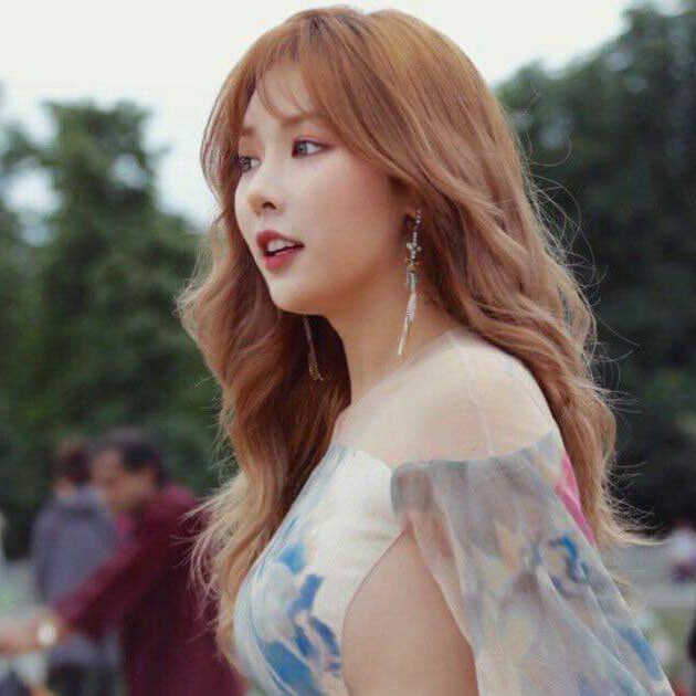 제젬 프로필