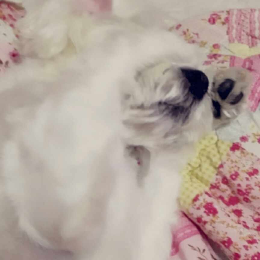리뷰어 프로필