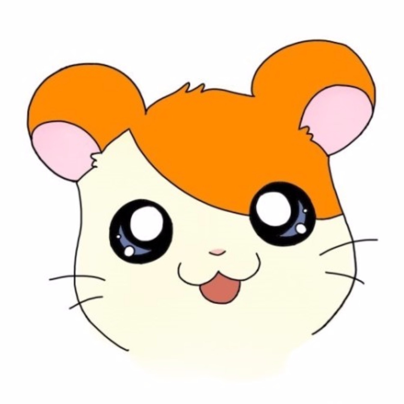 토리몽 프로필
