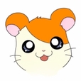 토리몽