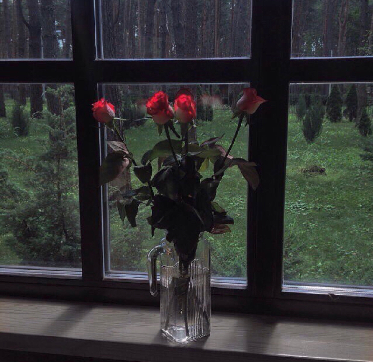 roses_ 프로필