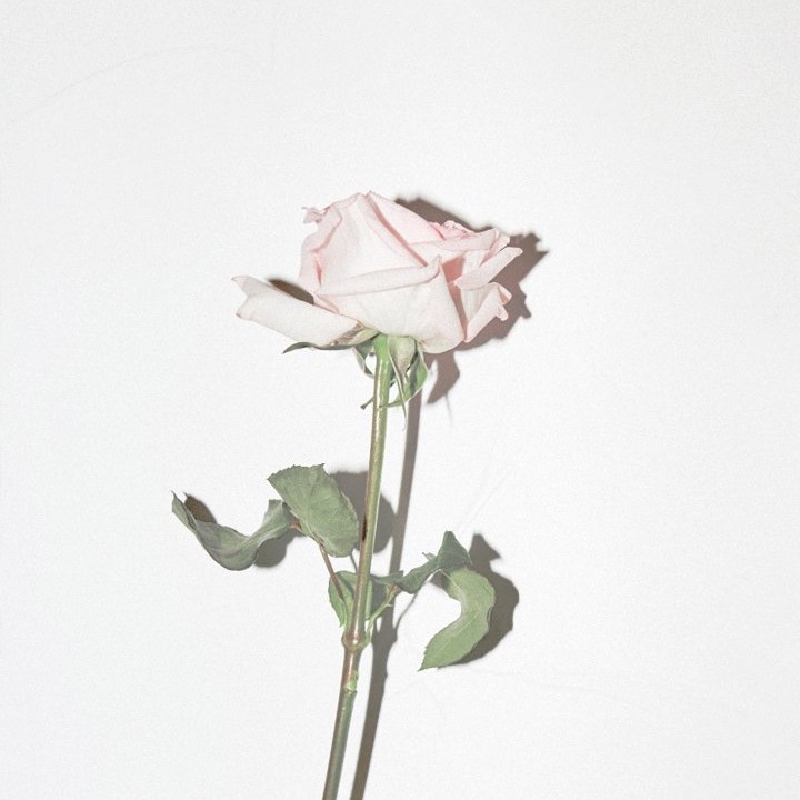 뀨우1 프로필