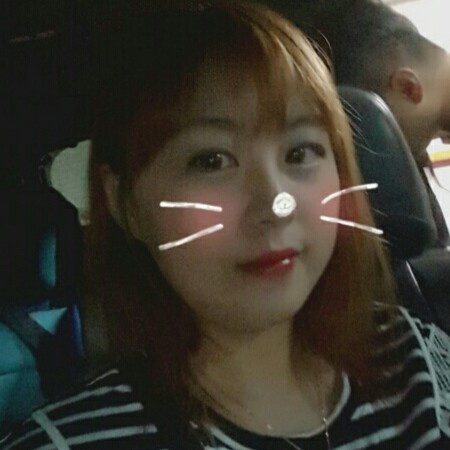 도도지 프로필