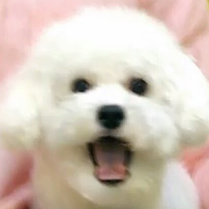 리뷰어 프로필