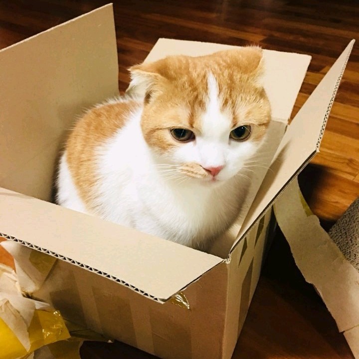 chanru 프로필