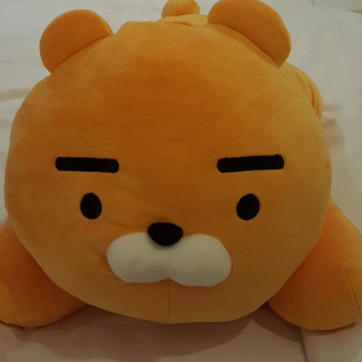 양뚜빠 프로필
